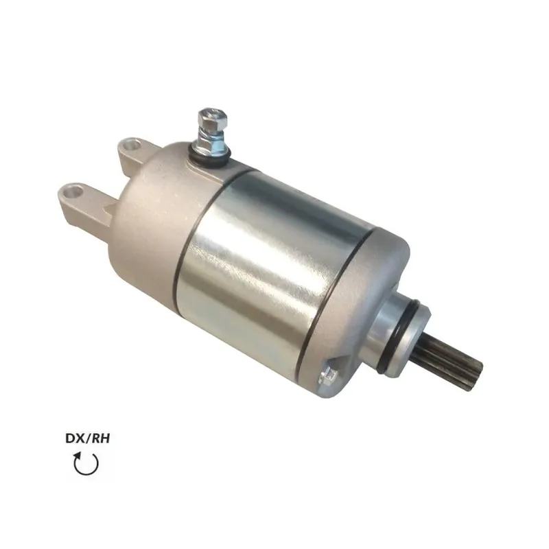 Saldi Aprilia leonardo 250 motorino avviamento bcr rif. r19040191a0 1999 2004