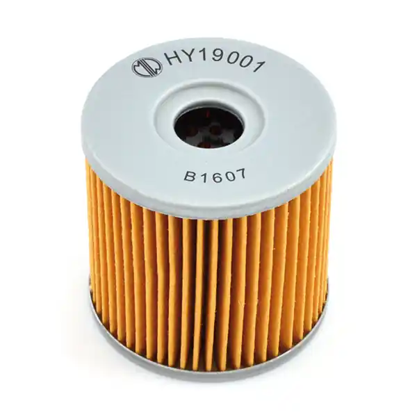 Hyosung gt comet 650 filtro olio meiwa hy19001 2004 2005 Popolare