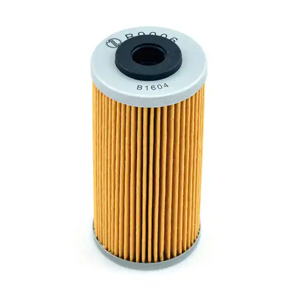 Bmw g smr 450 filtro olio meiwa b9006 2009 2010 Offerta Del Giorno