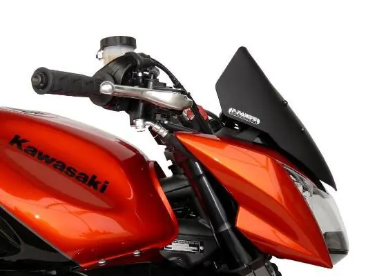 Cupolino fabbri kawasaki z1000 2007 2009 naked sport touring Affare