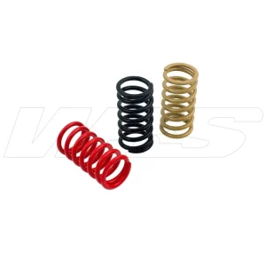 Nuova Collezione MOLLE FRIZIONE H40 CNC RACING DUCATI 748 1995-03-
