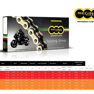 CATENA REGINA 135ZRT PASSO 520 KAWASAKI ZXR 400 91-99- Direttamente Dal Produttore