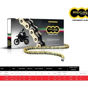 Professionale CATENA REGINA 135ZRE PASSO 520 HUSQVARNA TE 570 00-04-