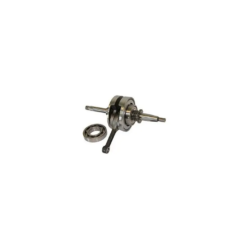 Scelto Dai Clienti ALBERO MOTORE SH 125 START/STOP 13-20