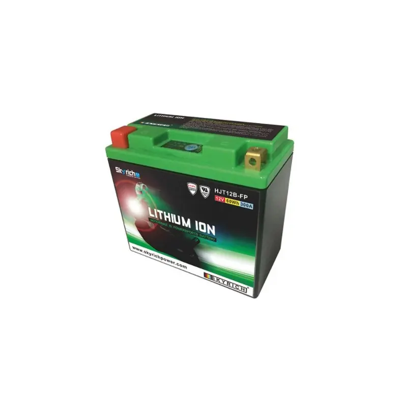 BATTERIA SKYRICH LITIO HJT12B-FP Promozione