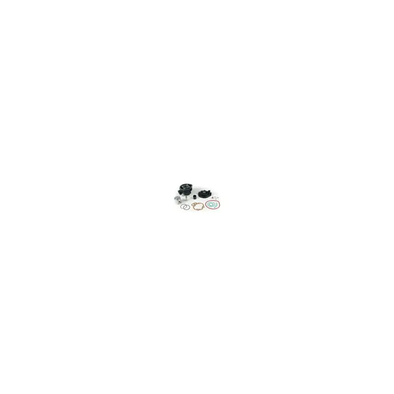 PISTONE COMPLETO D.49 (AM 345) Super Prezzo
