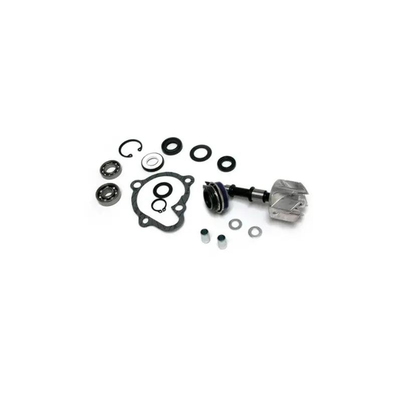 KIT RIPARAZIONE POMPA ACQUA KYMCO 250/300 X-CITING Miglior Prezzo