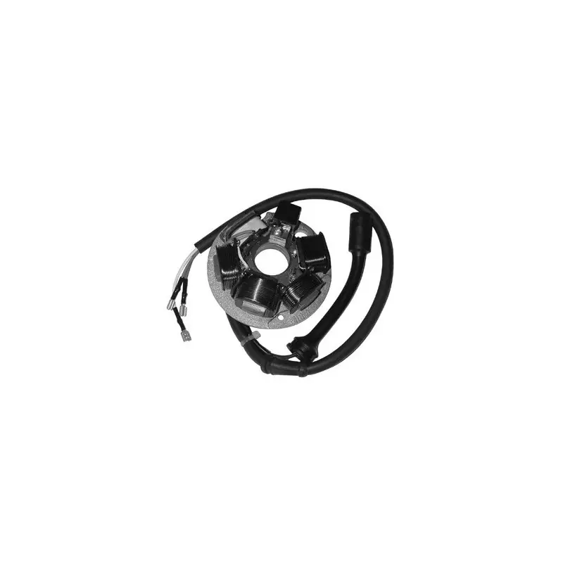 Prezzo Basso STATORE COMPL.VESPA PK-XL50/125-APE/5OTM