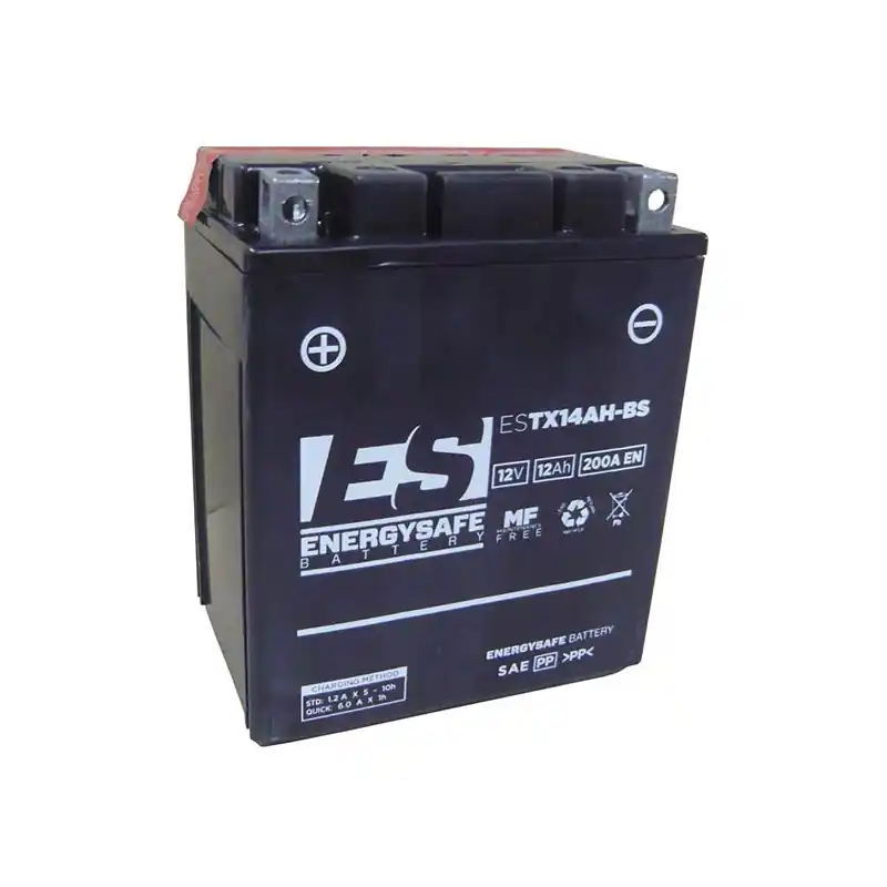 BATTERIA ENERGYSAFE ESTX14AH-B Offerta Lampo