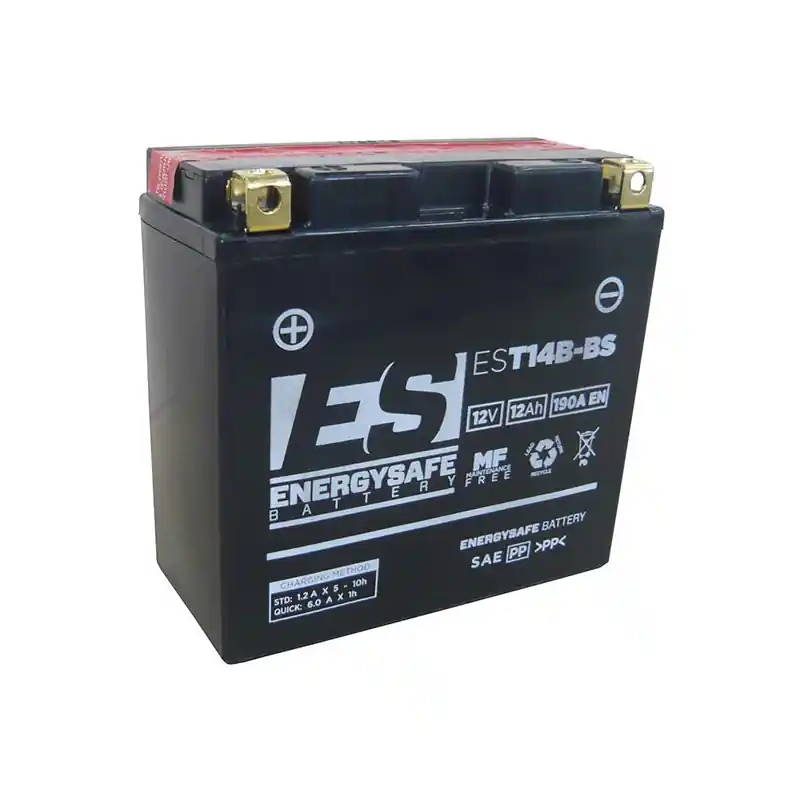 BATTERIA ENERGYSAFE EST14B-BS Super Prezzo