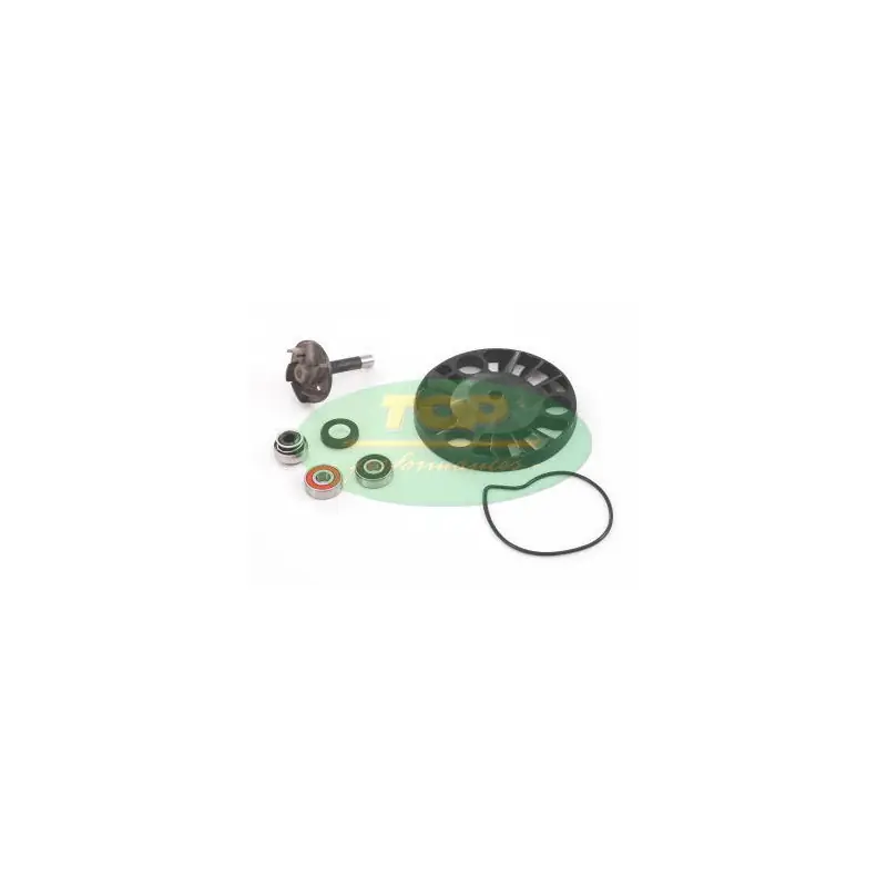 KIT REVISIONE P.A.PIAGGIO 200 Di Tendenza