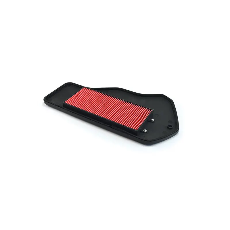 FILTRO ARIA DAELIM 125 OTELLO-DELFINO Rif. MIW: DA16201 Super Prezzo