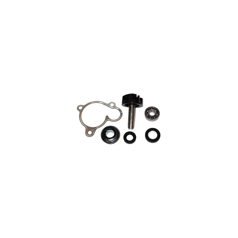 KIT REV POMPA Spedizione Gratuita