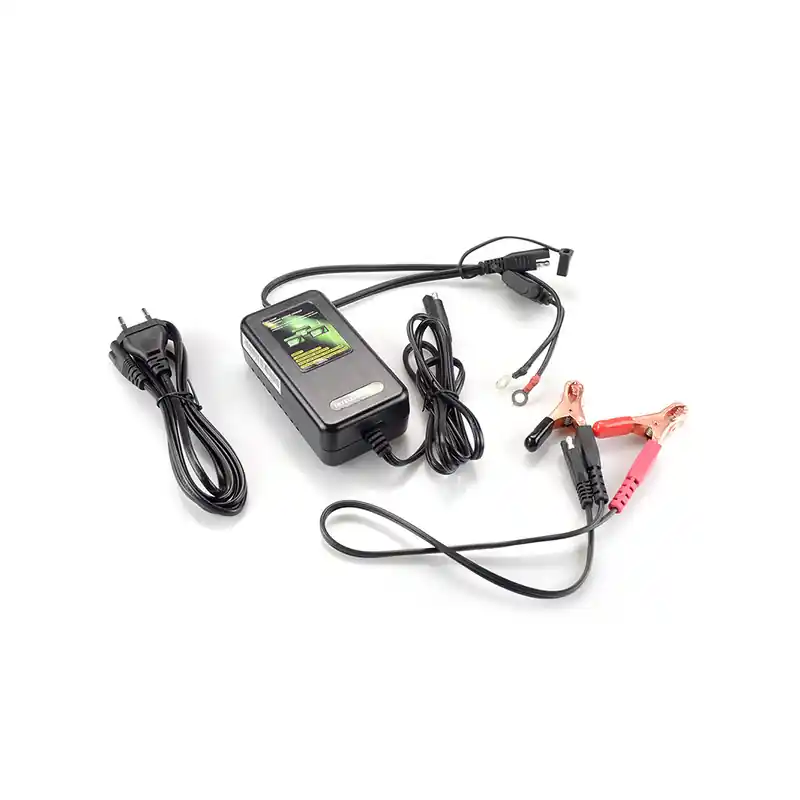 CARICABATTERIE SKYRICH PER BATTERIE LITIO 12 VOLT Saldi