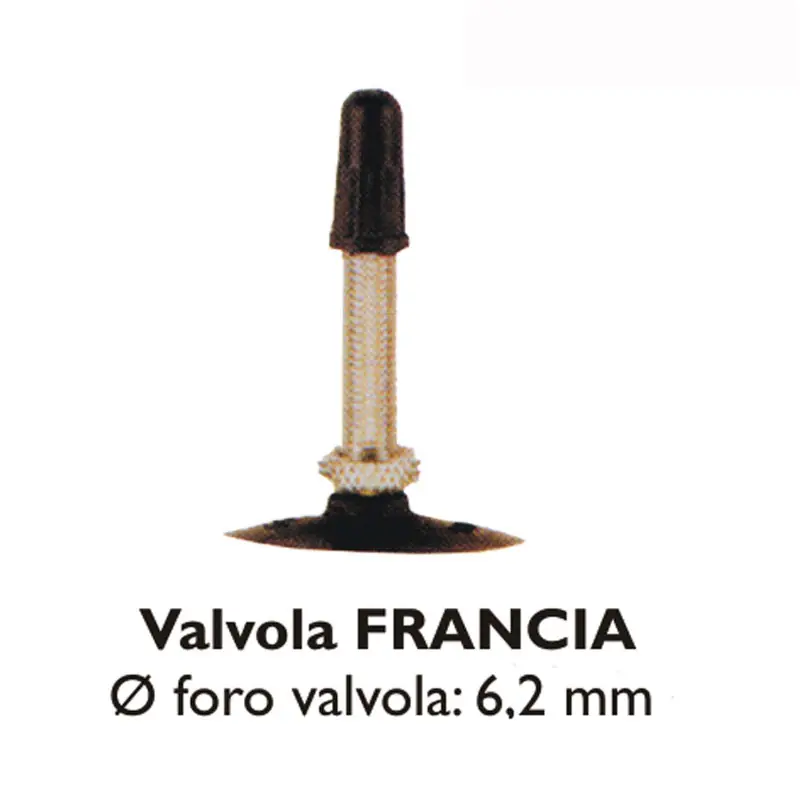 Spedizione Espresso CAMERA D'ARIA - 700 X 35/43 VALVOLA FRANCIA 48 MM