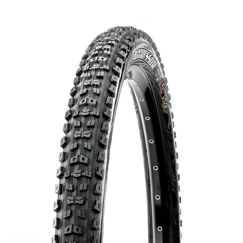 COP.AGGRESSOR WT EXO TR 29X250 60TPI K Offerta
