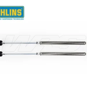 Compra Adesso CARTUCCIA FORCELLA OHLINS HONDA MSX 125 2013-2019-