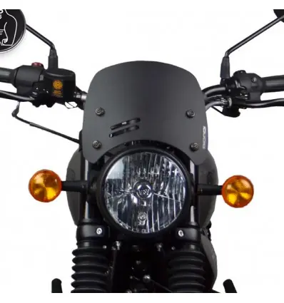 Offerta Speciale Cupolino Biondi Caffe per Royal Enfield HNTR 350 nero opaco-