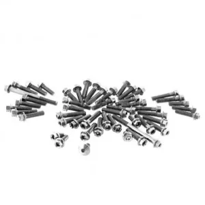 Spedizione Espresso Set bulloneria ergal per motore Ducati Panigale V4/S dal 2025-Argento