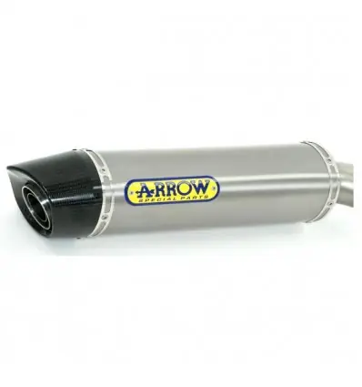 Terminale Arrow Maxi Race-Tech Titanium per BMW F800R 09-16- Affare