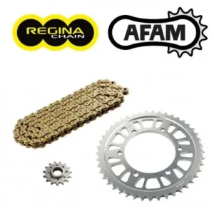 Compra Oggi Stesso Kit trasmissione Newfren per Honda CBF600 08-09-