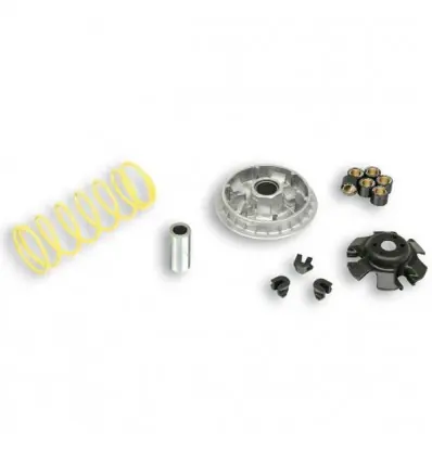 Kit Multivar 2000 Malossi per SYM Citycom 300, Joymax 250/300...- Direttamente Dal Produttore