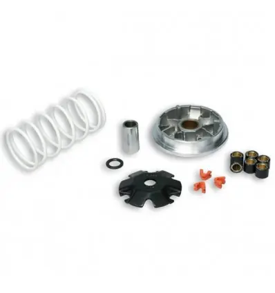 Kit Multivar 2000 Malossi per Peugeot Tweet 50, SYM Symphony 50...- Ultima Occasione
