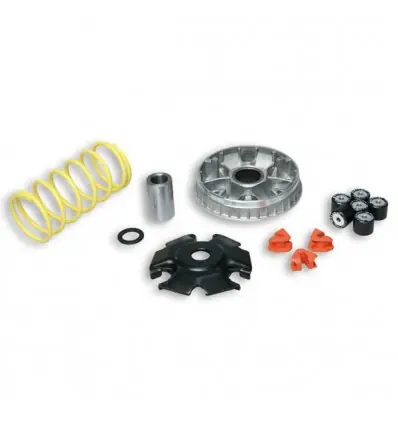 Offerta Lampo Kit Multivar 2000 Malossi per Peugeot Tweet 125, SYM Symphony 125...-