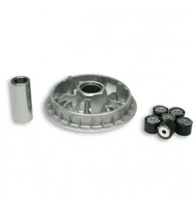 Affare Kit Multivar 2000 Malossi Honda Forza 250, Jazz...-