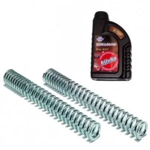 Set molle forcelle Bitubo con olio per Gilera GP 800- Consegna Rapida