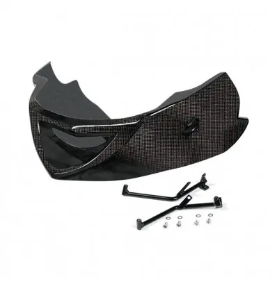 Prezzo Scontato Puntale con kit attacchi LEA carbonio Yamaha FZ1 Fazer dal 2006-
