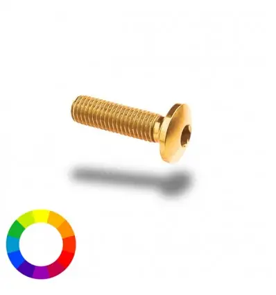 Spedizione Espresso Bullone in ergal 002 testa bombata 6x15mm-Argento
