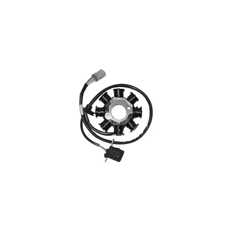 Scelto Dai Clienti Statore 8 poli 125/150 kymco people - 125/150 mala