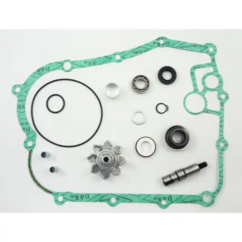 Novità Kit rev. pompa h2o kymco xciting 400i