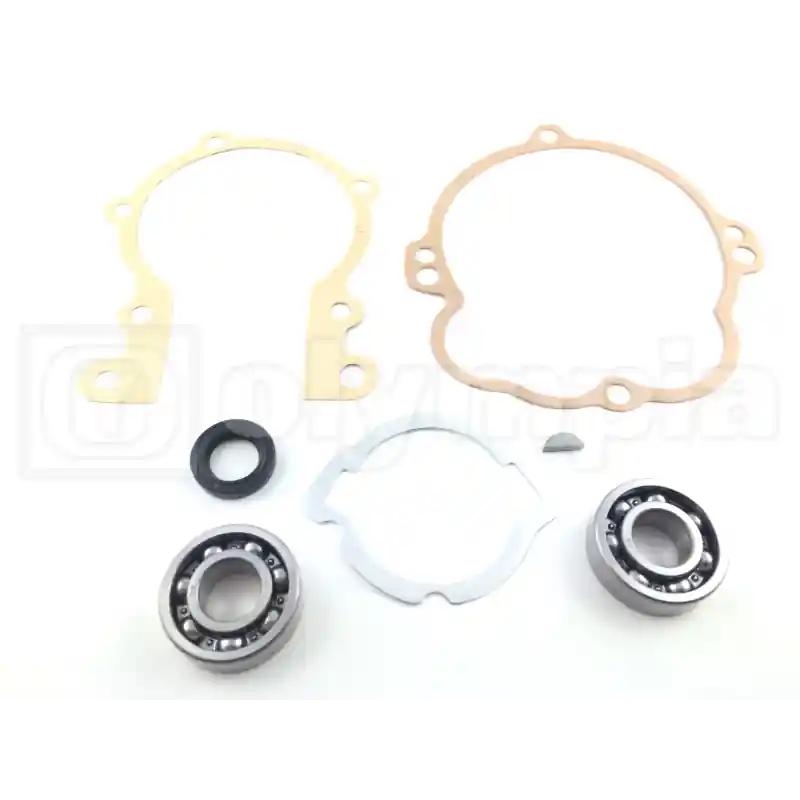 Promozione Esclusiva Kit revisione albero motore