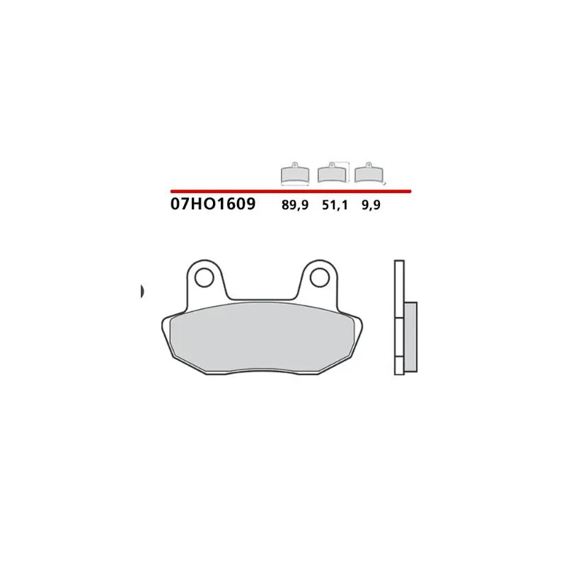 Pastiglie brembo genuine 07ho1609 Professionale