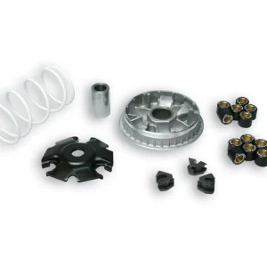 Offerta VARIATORE MULTIVAR 2000 MALOSSI VESPA GTS HPE 300 IE 4T LC EURO 5 2021-2022 (MD31M)-