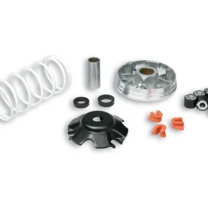 Spedito Oggi VARIATORE MULTIVAR 2000 PER SCOOTER PIAGGIO 50CC MALOSSI PIAGGIO NRG POWER DT 50 2T (C453M)-