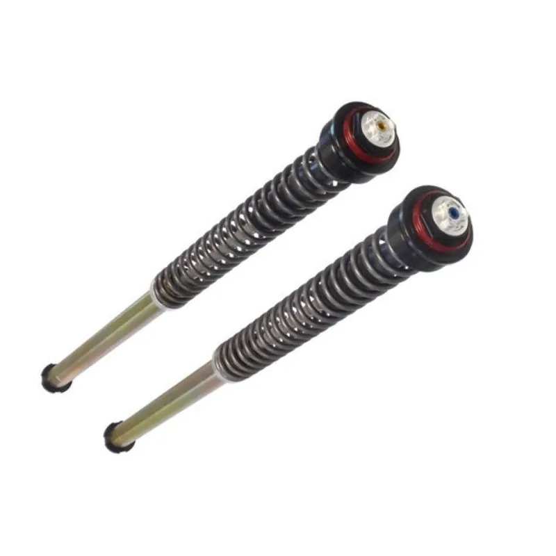 Offerta Del Giorno Bitubo Cartuccia Pressurizzata D0042JBH01V1WO Panigale V2-V4-