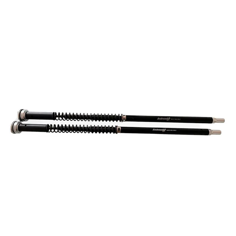 Compra Online Cartuccia Andreani Misano Evo 2 Tuono V4 1100-