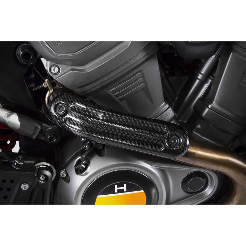 Zard Paracalore Carbonio Pan America 1250- Saldi
