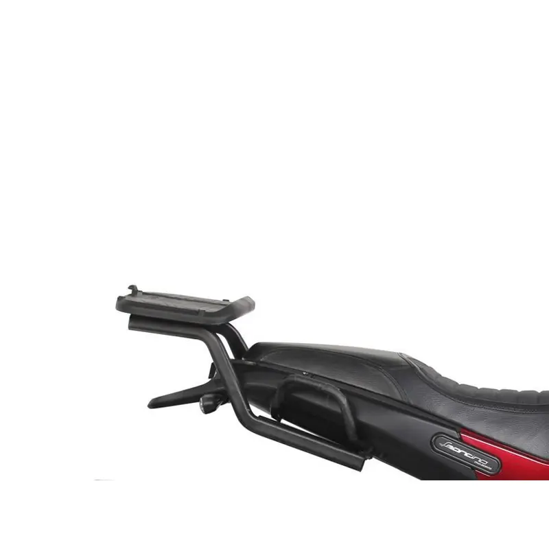Promozione Attacco Posteriore Shad Top Master Leoncino 502-