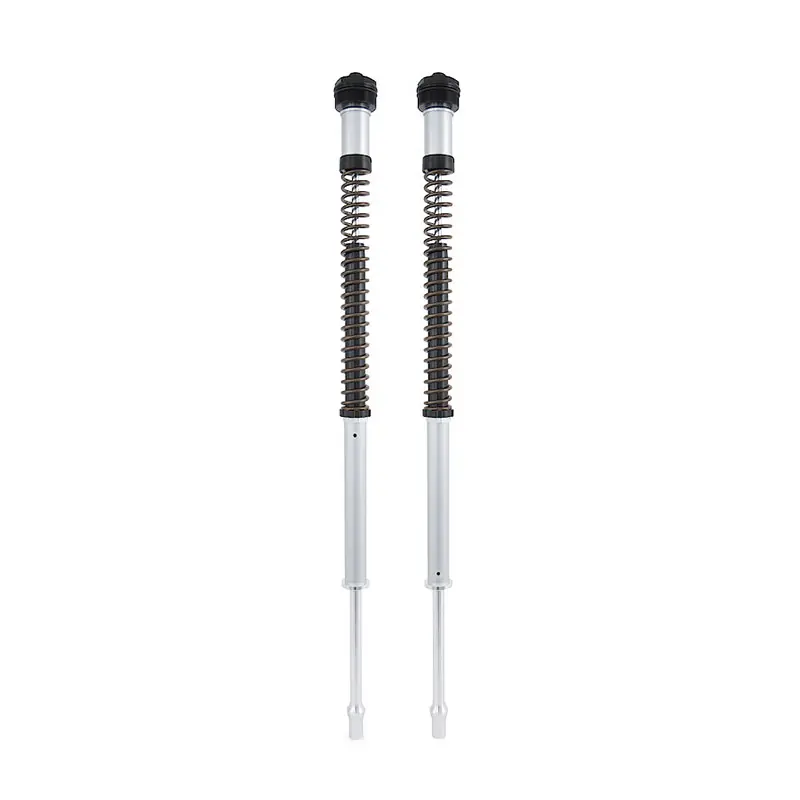 Cartuccia Ohlins Nix 22 BMW R Nine T Pure/Racer- Offerta Speciale