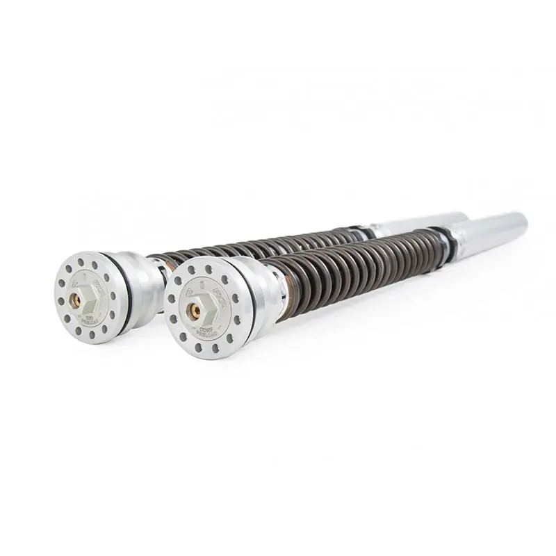 Cartuccia Ohlins TTX FKR120 Triumph Daytona 675/R- Non Perdere