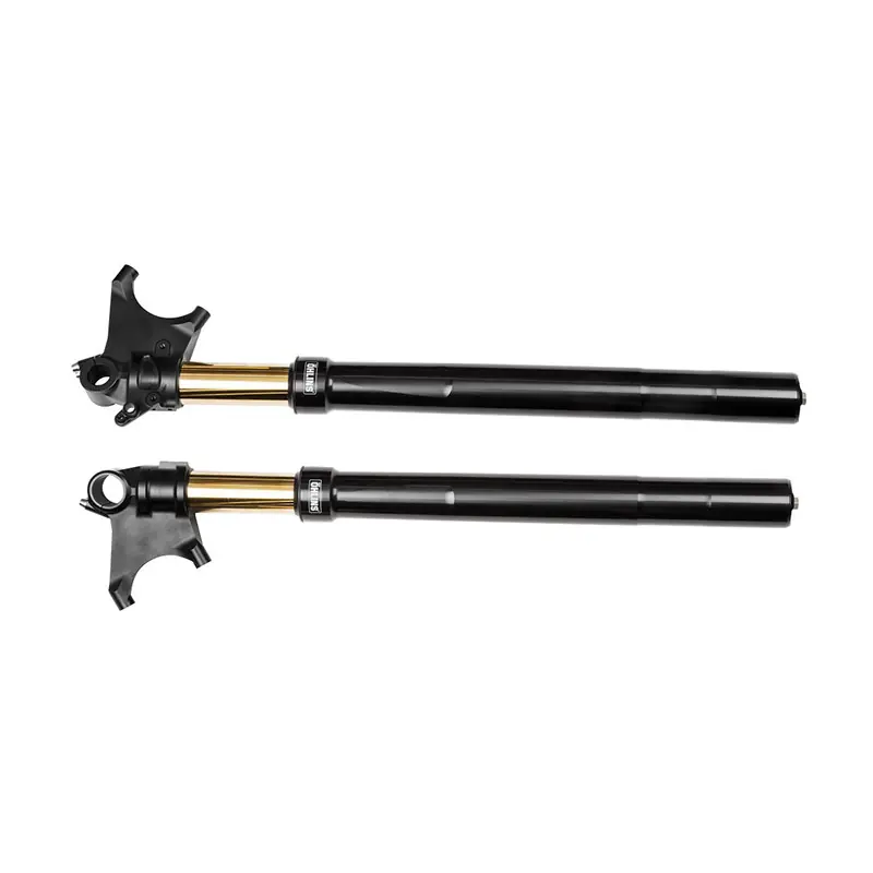 Economico Forcella Ohlins RT 48 Ducati Diavel 2018-
