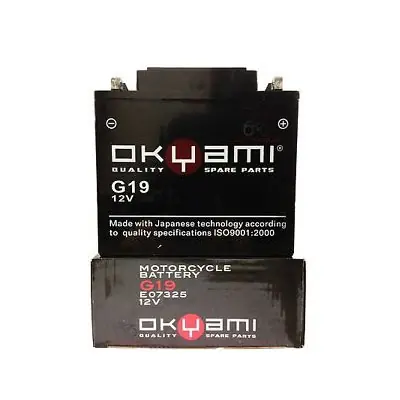 Compra Oggi Stesso OKYAMI BATTERIA 3H4 6V 10A-