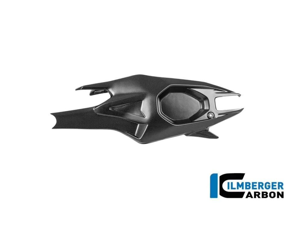 PROTEZIONE FORCELLONE SINISTRA CARBONIO OPACO ILMBERGER DUCATI STREETFIGHTER V4 2025- Ultime Pezzi