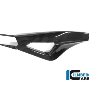 PROTEZIONE FORCELLONE DESTRA CARBONIO ILMBERGER BMW S 1000 R 2021-2025- Subito Disponibile
