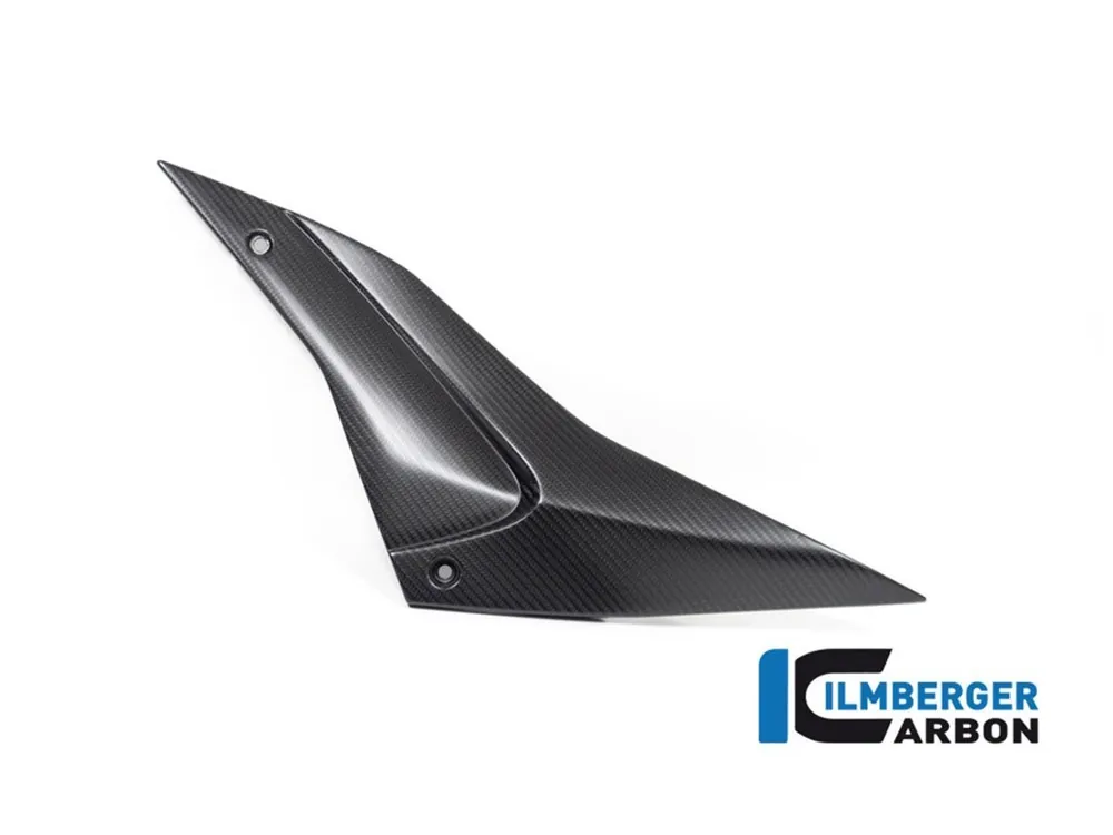 INSERTO LATERALE SINISTRA CARBONIO OPACO ILMBERGER APRILIA TUONO V4 2021-2024- Vendita Finale