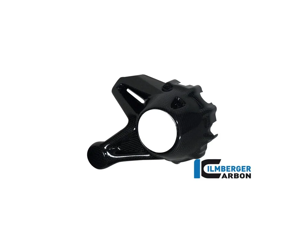 PROTEZIONE CARDANO CARBONIO ILMBERGER BMW R 1200 R 2015-2018- Occasione Imperdibile